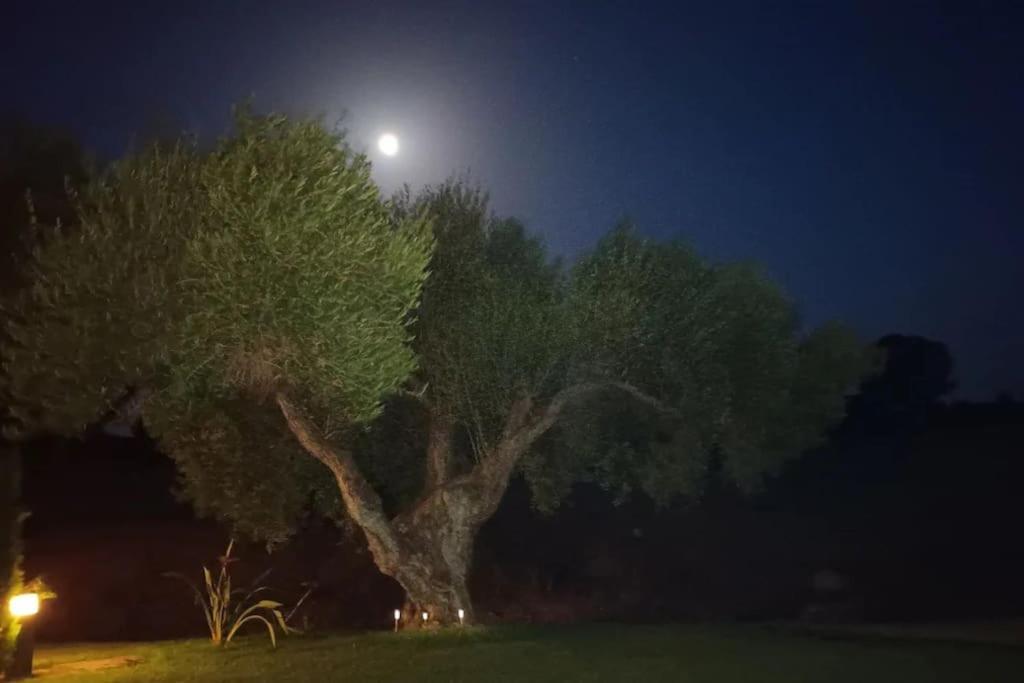 Casa Los Olivos อาร์กอส เดลา ฟรอนเตรา ภายนอก รูปภาพ